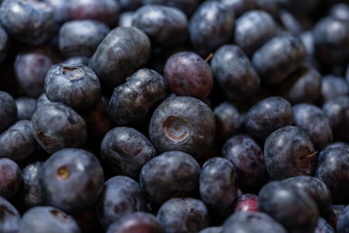 Qué son los superalimentos