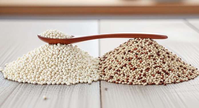 imagen comparativa visual entre fonio y la quinoa